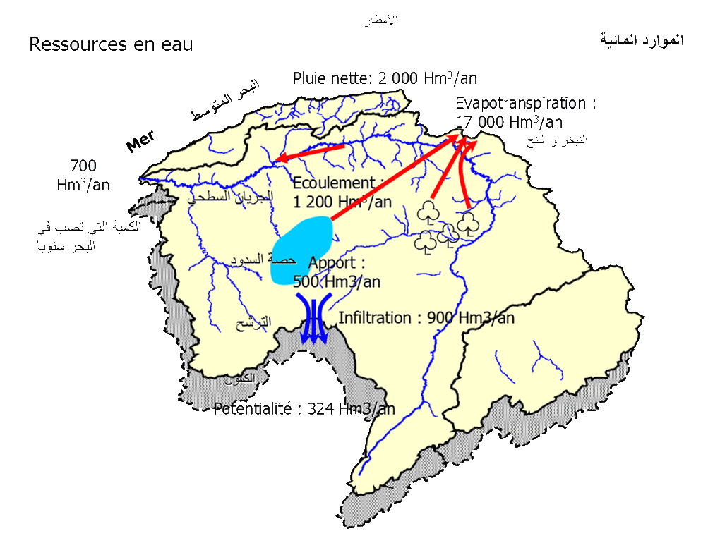 Ressources en eau de la RHCZ