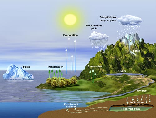 Le cycle de l'eau